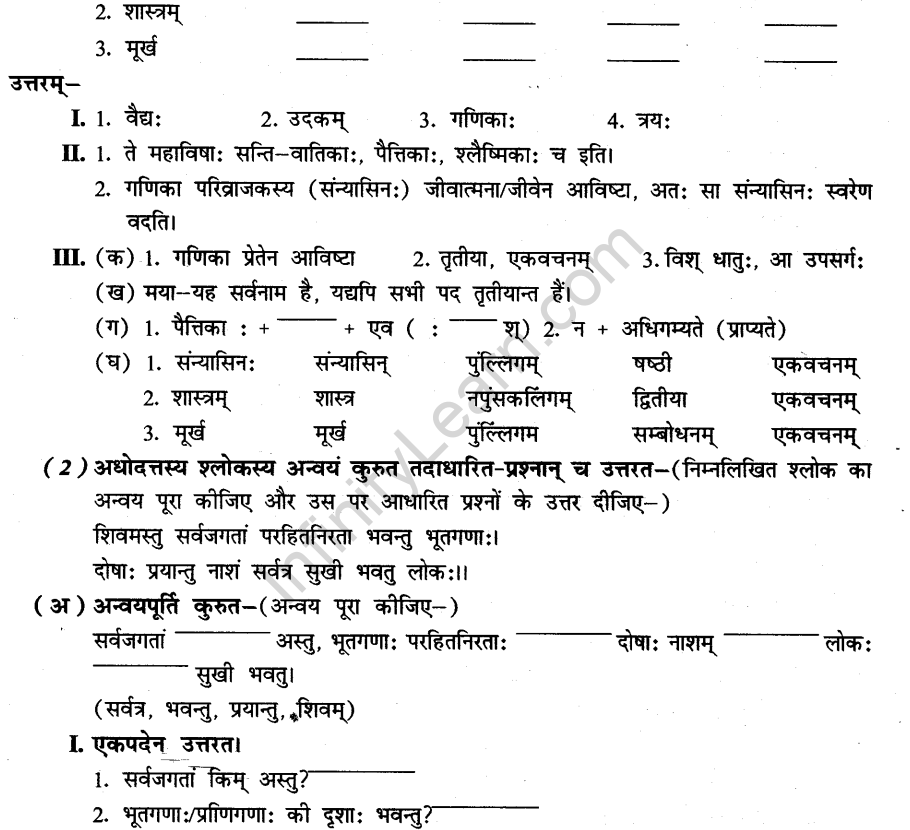 NCERT Solutions for Class 8th Sanskrit Chapter 3 भगवदज्जुकम्र 7