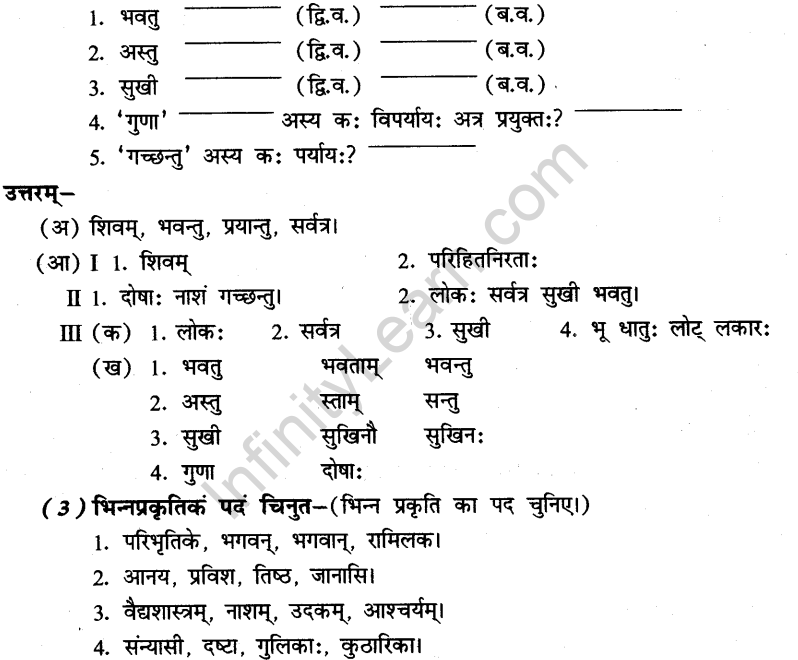 NCERT Solutions for Class 8th Sanskrit Chapter 3 भगवदज्जुकम्र 9