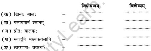 NCERT Solutions for Class 9 Sanskrit Shemushi Chapter 6 भ्रान्तो बालः 1