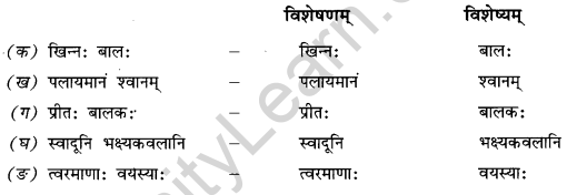 NCERT Solutions for Class 9 Sanskrit Shemushi Chapter 6 भ्रान्तो बालः 2