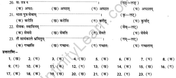 NCERT Solutions for Class 9th Sanskrit Chapter 10 Vidhiliga Lakarah 14