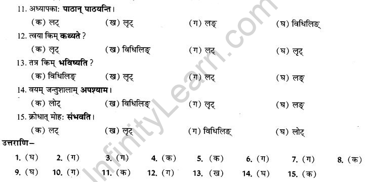 NCERT Solutions for Class 9th Sanskrit Chapter 10 Vidhiliga Lakarah 16