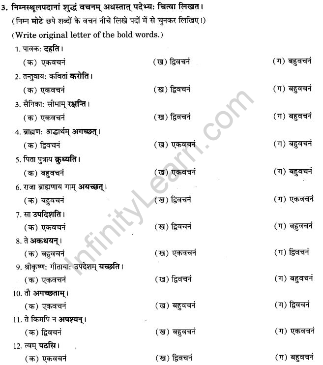 NCERT Solutions for Class 9th Sanskrit Chapter 10 Vidhiliga Lakarah 17