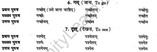NCERT Solutions for Class 9th Sanskrit Chapter 10 Vidhiliga Lakarah 2