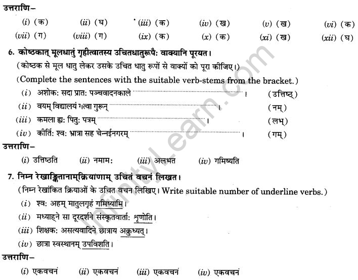 NCERT Solutions for Class 9th Sanskrit Chapter 10 Vidhiliga Lakarah 21