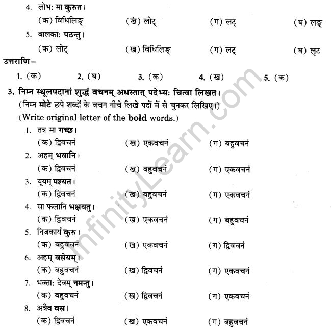 NCERT Solutions for Class 9th Sanskrit Chapter 10 Vidhiliga Lakarah 25
