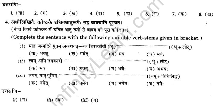 NCERT Solutions for Class 9th Sanskrit Chapter 10 Vidhiliga Lakarah 26