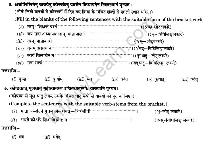 NCERT Solutions for Class 9th Sanskrit Chapter 10 Vidhiliga Lakarah 27