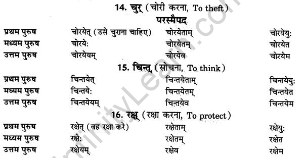NCERT Solutions for Class 9th Sanskrit Chapter 10 Vidhiliga Lakarah 4