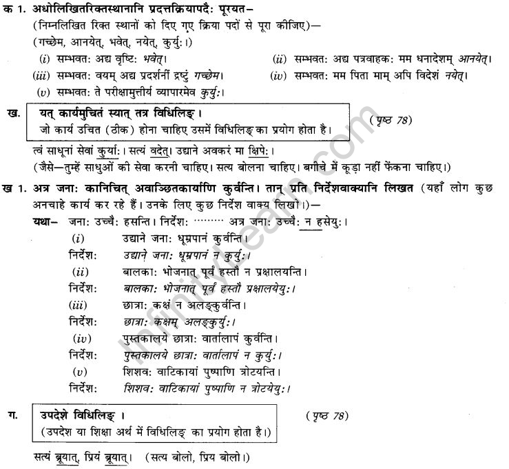 NCERT Solutions for Class 9th Sanskrit Chapter 10 Vidhiliga Lakarah 7