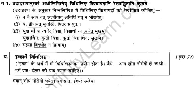 NCERT Solutions for Class 9th Sanskrit Chapter 10 Vidhiliga Lakarah 8