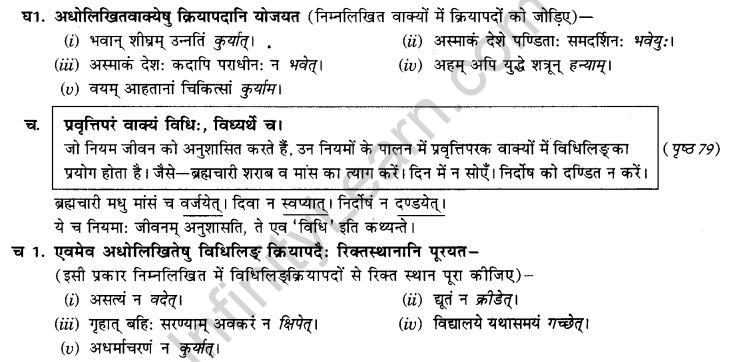 NCERT Solutions for Class 9th Sanskrit Chapter 10 Vidhiliga Lakarah 9