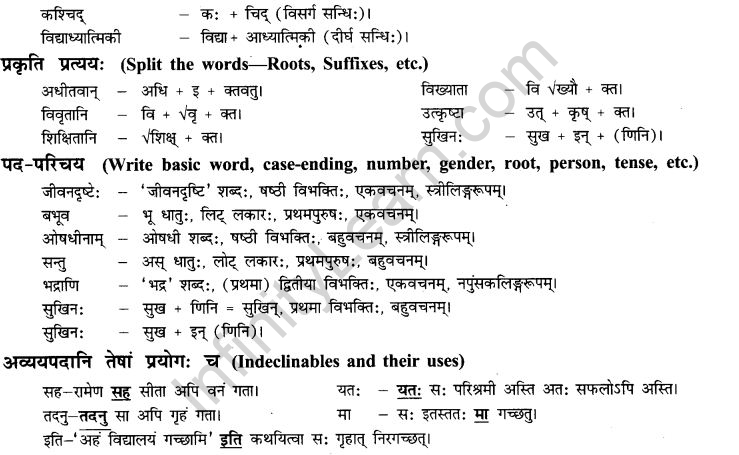 NCERT Solutions for Class 9th Sanskrit Chapter 13 Bharatiyam Vignanam 13