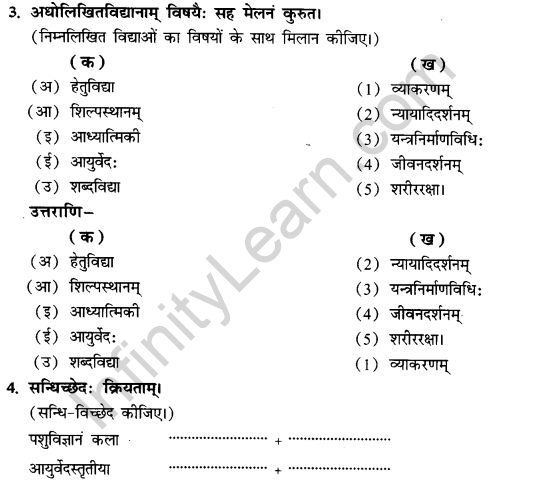 NCERT Solutions for Class 9th Sanskrit Chapter 13 Bharatiyam Vignanam 18