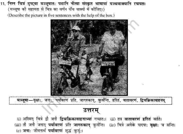 NCERT Solutions for Class 9th Sanskrit Chapter 4 चित्राधारितम् वर्णनम् 12