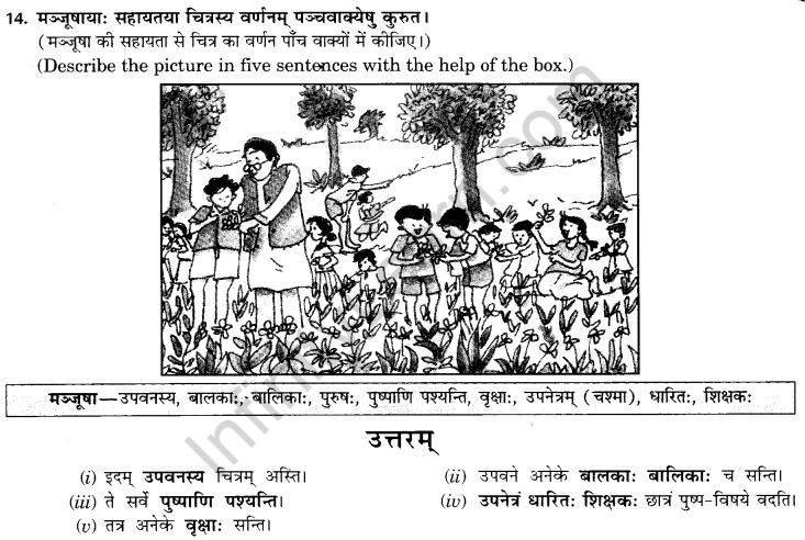 NCERT Solutions for Class 9th Sanskrit Chapter 4 चित्राधारितम् वर्णनम् 15