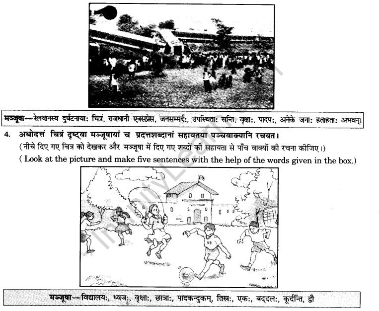 NCERT Solutions for Class 9th Sanskrit Chapter 4 चित्राधारितम् वर्णनम् 19