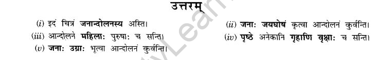 NCERT Solutions for Class 9th Sanskrit Chapter 4 चित्राधारितम् वर्णनम् 2