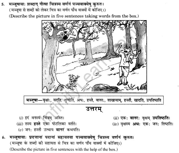 NCERT Solutions for Class 9th Sanskrit Chapter 4 चित्राधारितम् वर्णनम् 6