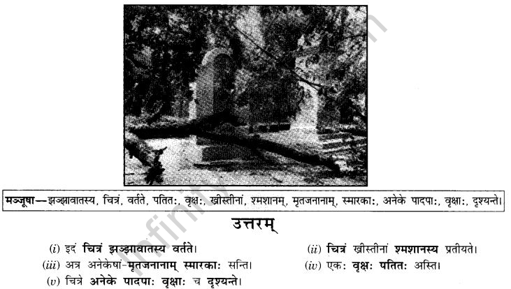 NCERT Solutions for Class 9th Sanskrit Chapter 4 चित्राधारितम् वर्णनम् 7