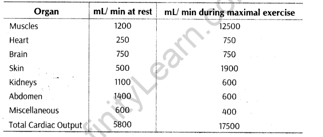 Physical Education Class 12 Important Questions Chapter 8 Physiology and Sports 1