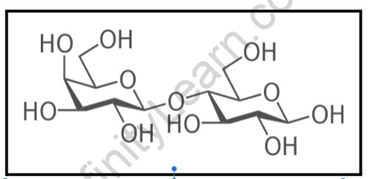 carbohydrates diagram