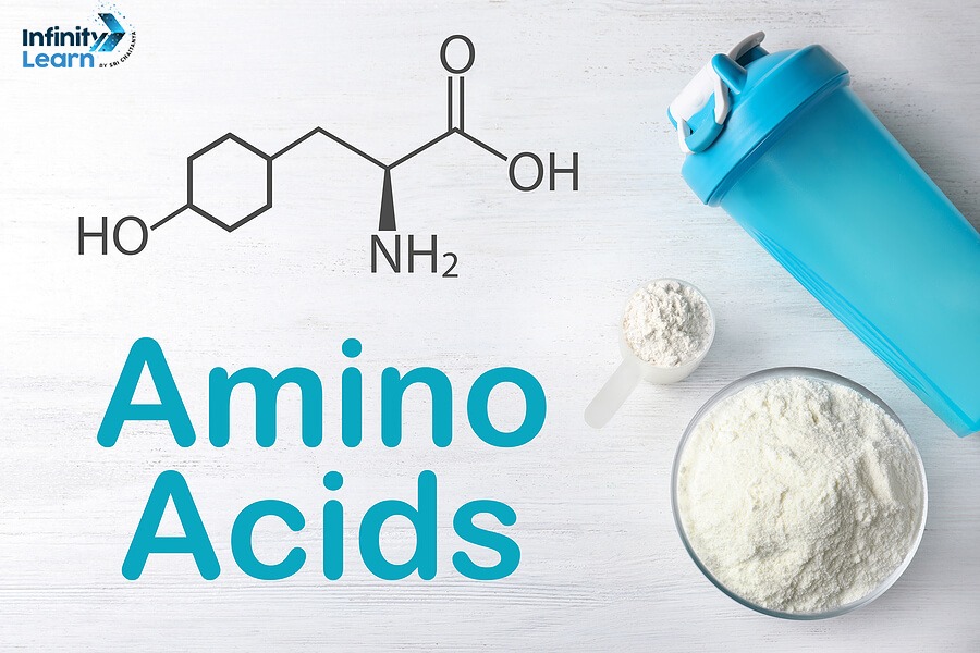 Amino Acids