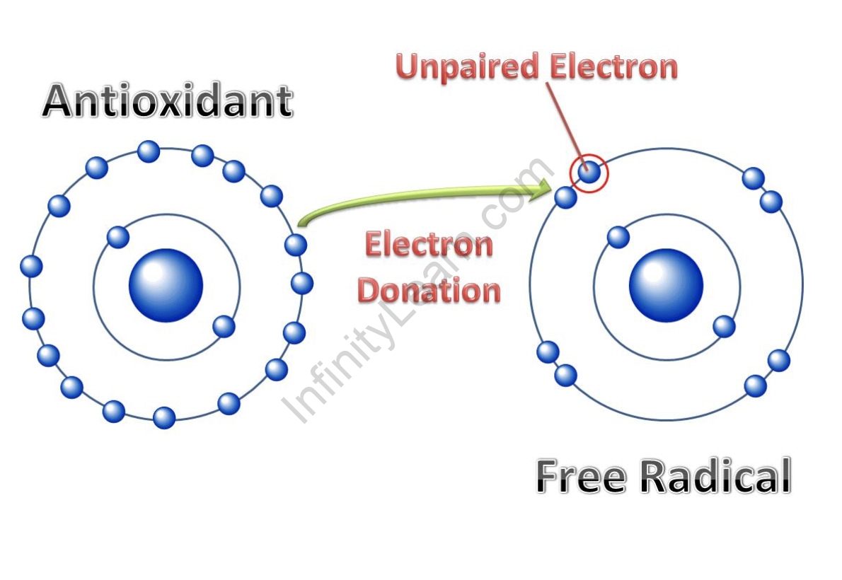 free-radicals-infinity-learn