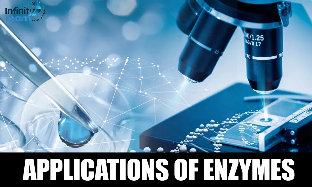 Applications Of Enzymes copy