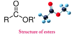 Formation Of Esters