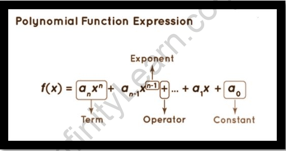 Polynomial Functions - Infinity Learn by Sri Chaitanya