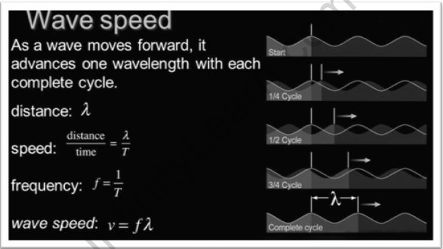 Speed Of A Wave Infinity Learn By Sri Chaitanya