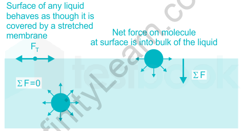 surface tension dimensional formula