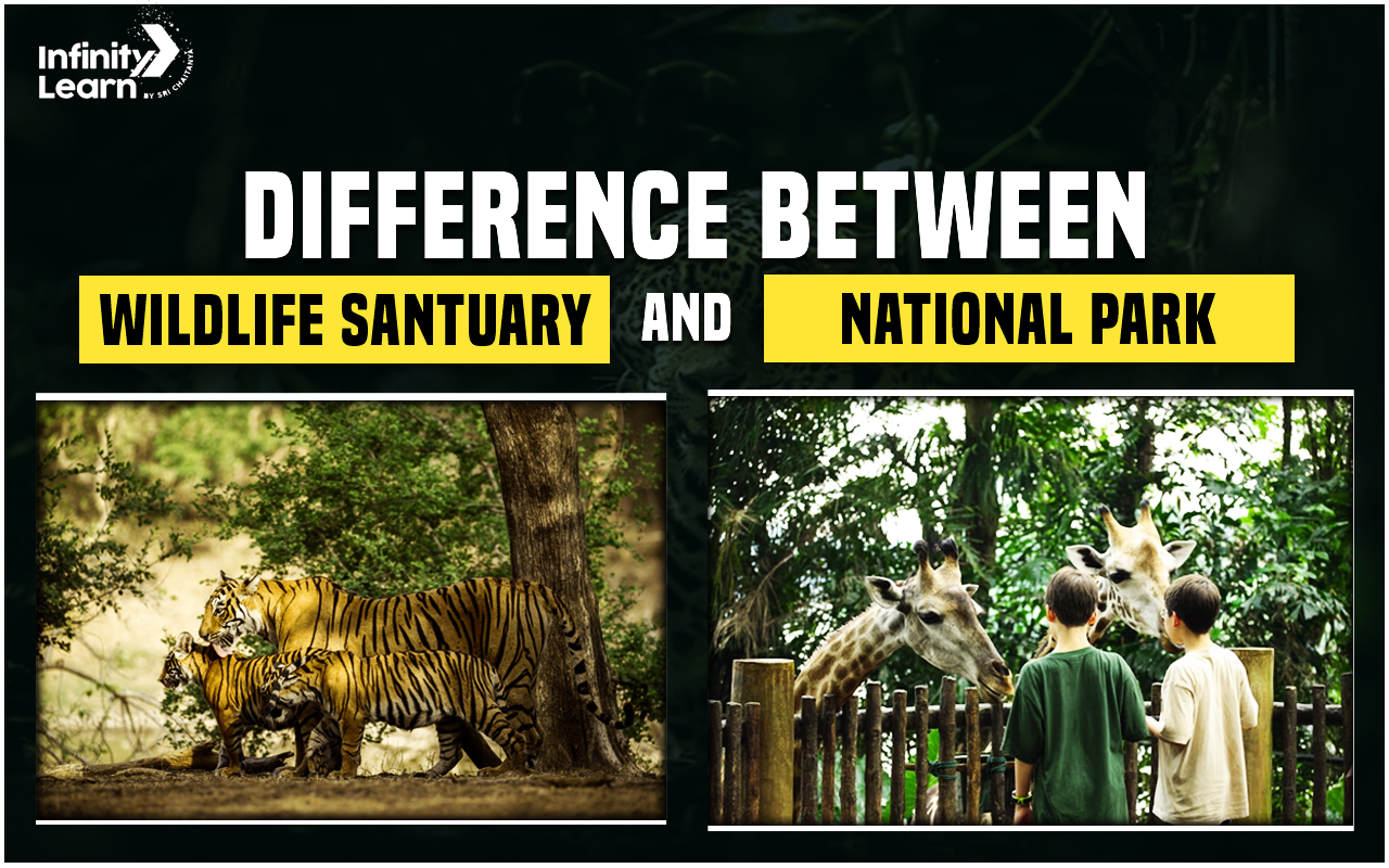 Difference Between Wildlife Sanctuary and National Park