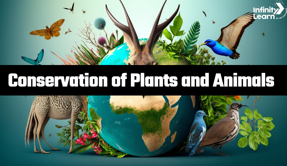 Conservation of Plants and Animals