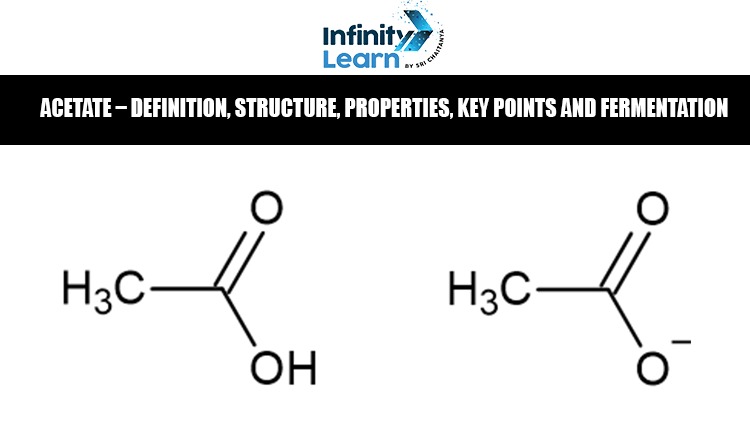 Acetate Definition