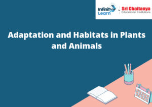 Adaptation and Habitats in Plants and Animals - Infinity Learn by Sri ...