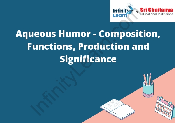 Aqueous Humor - Composition, Functions, Production and Significance