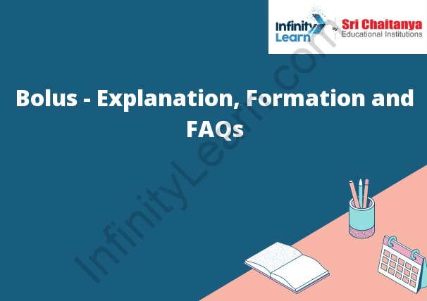 Bolus - Explanation, Formation and FAQs