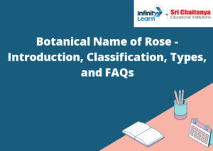 Botanical Name of Rose