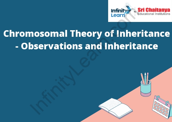 Chromosomal Theory of Inheritance - Observations and Inheritance