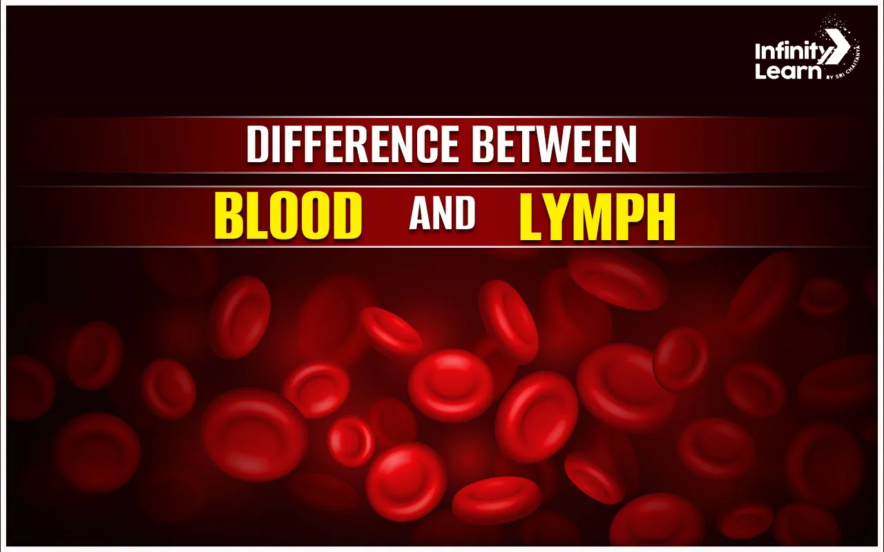 Difference Between Blood and Lymph