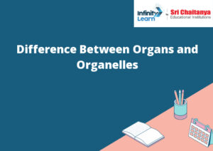 Difference Between Organs and Organelles