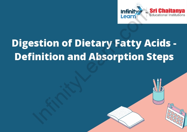 Digestion Of Dietary Fatty Acids Definition And Absorption Steps Infinity Learn