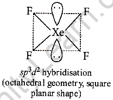 Xef4 Shape