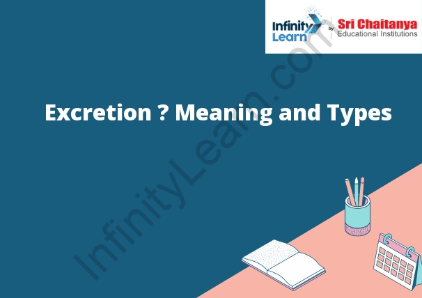 Excretion – Meaning and Types