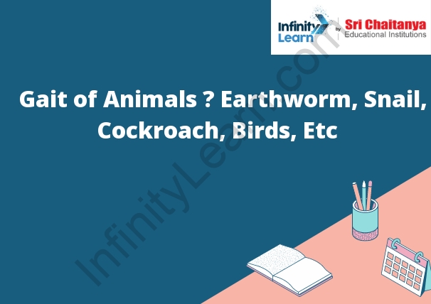 Gait of Animals – Earthworm, Snail, Cockroach, Birds, Etc - Infinity Learn