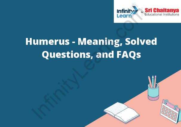 Humerus - Meaning, Solved Questions, and FAQs
