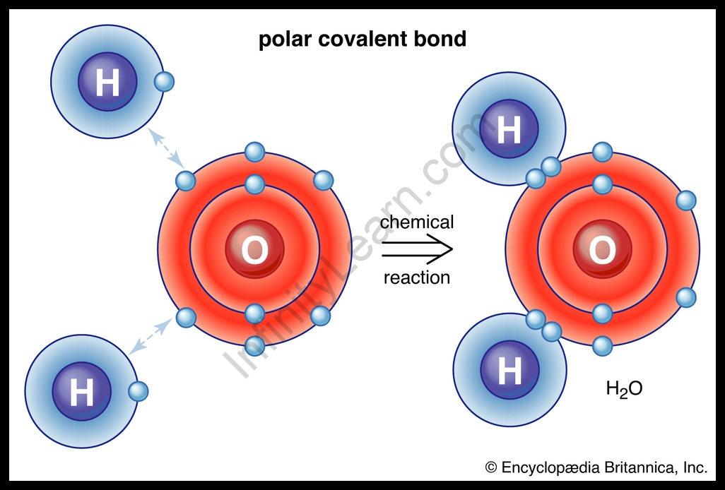 Covalent Bond Important Topic Of Chemistry