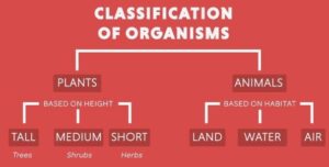 Class 9 Introduction to Biological Classification